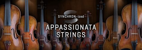 VSL Synchron Strings 2025 Download With Free Trial
